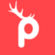 Prancer.io logo