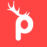 Prancer.io logo