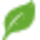Green Jeeva icon