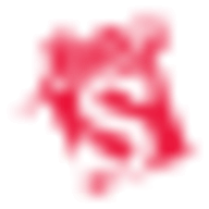SureGifts logo