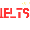 IELTS Techniques logo