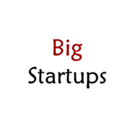BigStartups.in logo
