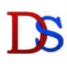 Distinctive Solutions Inc. logo