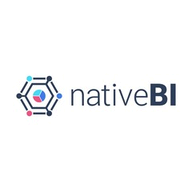 NativeBI logo