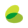 Budget icon