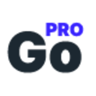 Website2Go logo