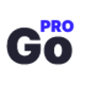 Website2Go logo