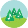 Pine Player logo