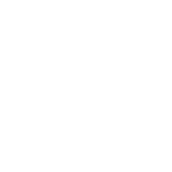 The Zensory logo