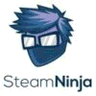 Steam Ninja! logo