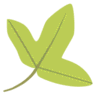 Tela Botanica logo