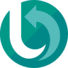 BackupBliss logo