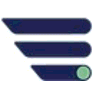 PayNet icon