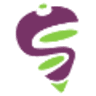 SPIN CYCLES logo