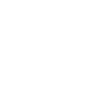 Burnable.link logo