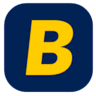 Betpaddi logo