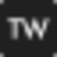 TrailWise logo
