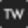 TrailWise logo
