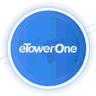 eTowerOne logo