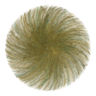 Data is beautiful logo
