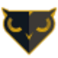 Black Owl Systems logo