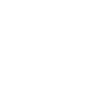Svg icon • Free logo