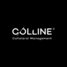 Vermeg COLLINE logo