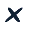 NETVPX logo