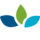 WellSky icon