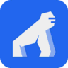 AuthKong icon