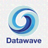 Datawave.app icon