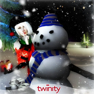 blog.twinity.com Twinity logo