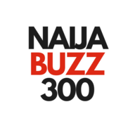 NaijaBuzz300 logo