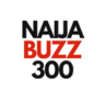 NaijaBuzz300 icon