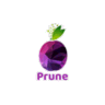 Prune.co.in logo