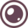 Image Describer Online