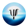 Psychpedia icon