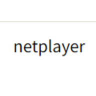 netplayer.net logo
