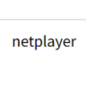 netplayer.net icon