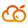 Cloudberry Database icon