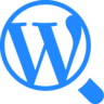 wpscan.online icon