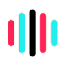 TikTokVoice.net logo