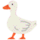 Shepherd.com icon