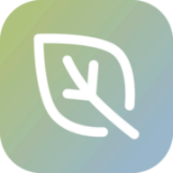 DailyBless.net logo