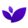 DevDynamics.ai icon