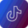 ScrapTik icon