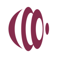 PDFLoom logo