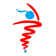Danswer logo