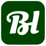 BudgetLite icon