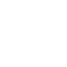 Ottic logo